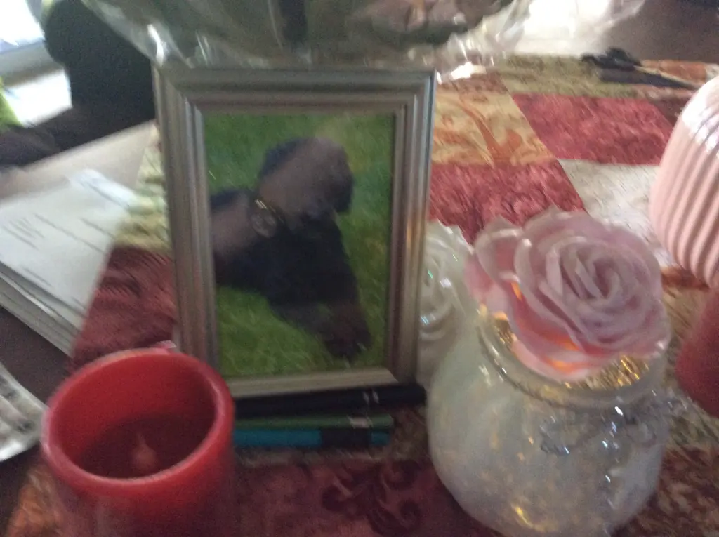 Andachtsbild von Heidi