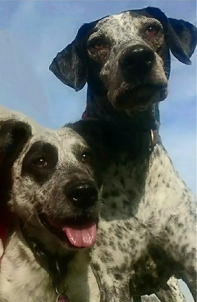 Andachtsbild von Ewa mit Elo im Herzen