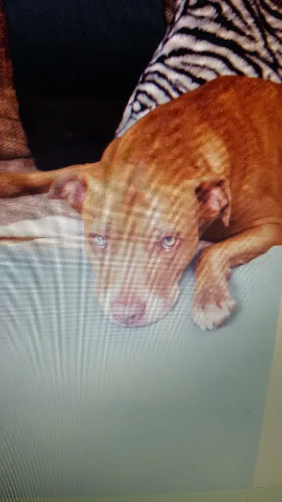 Condolence image of Manu und Pascal mit Louisa im Herzen