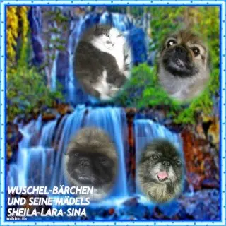 Image from wuschel-bärchen und prinzesin sheila meine lieben