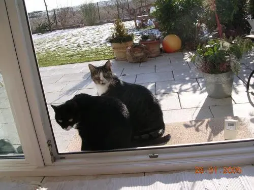 Image from Coco und Tessy