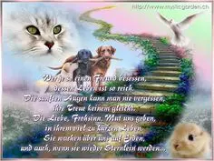 Condolence image of Claudia mit Axel im Herzen