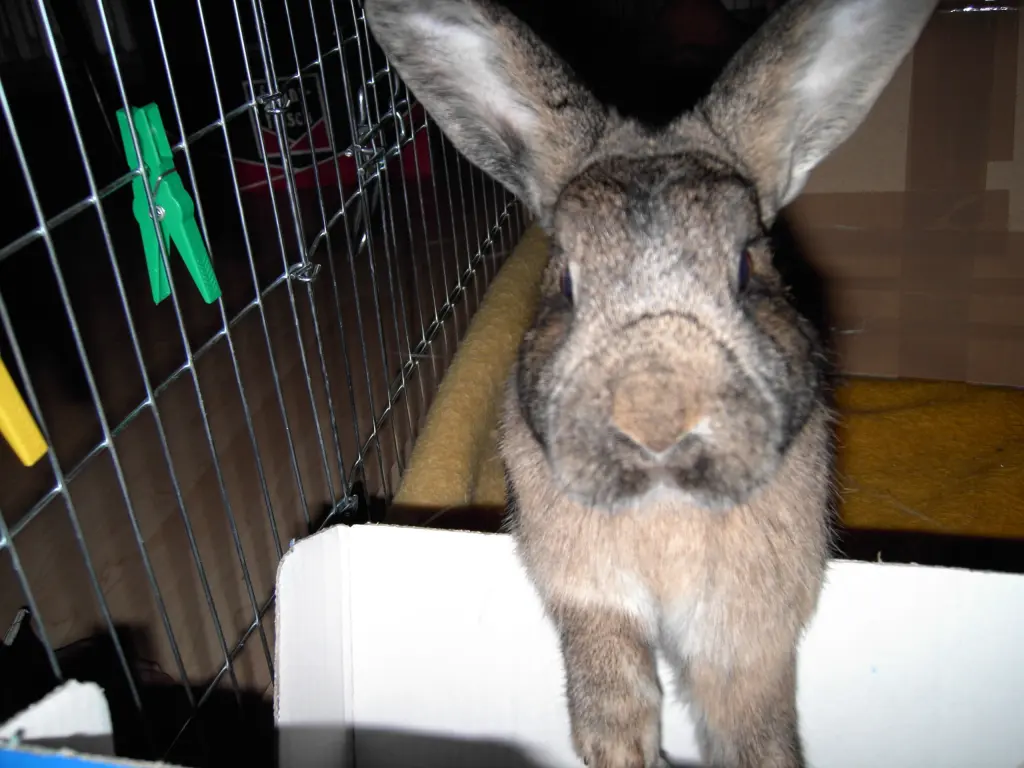 Image from Milow