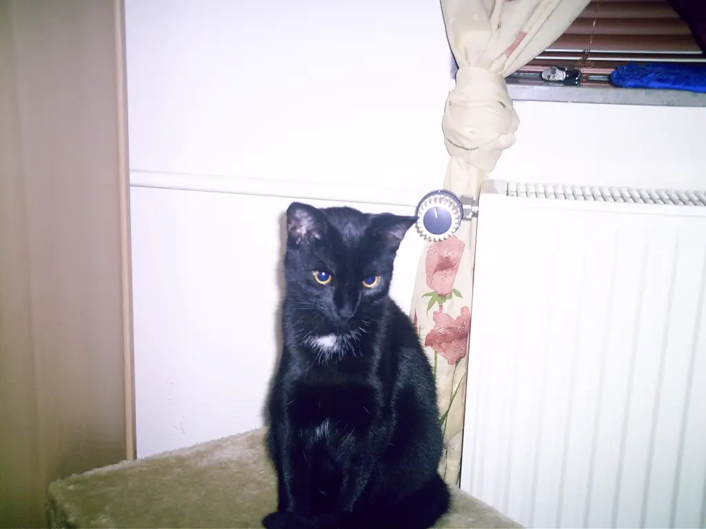 Condolence image of Unbekannt