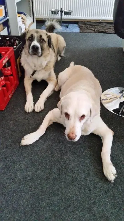 Condolence image of Michael