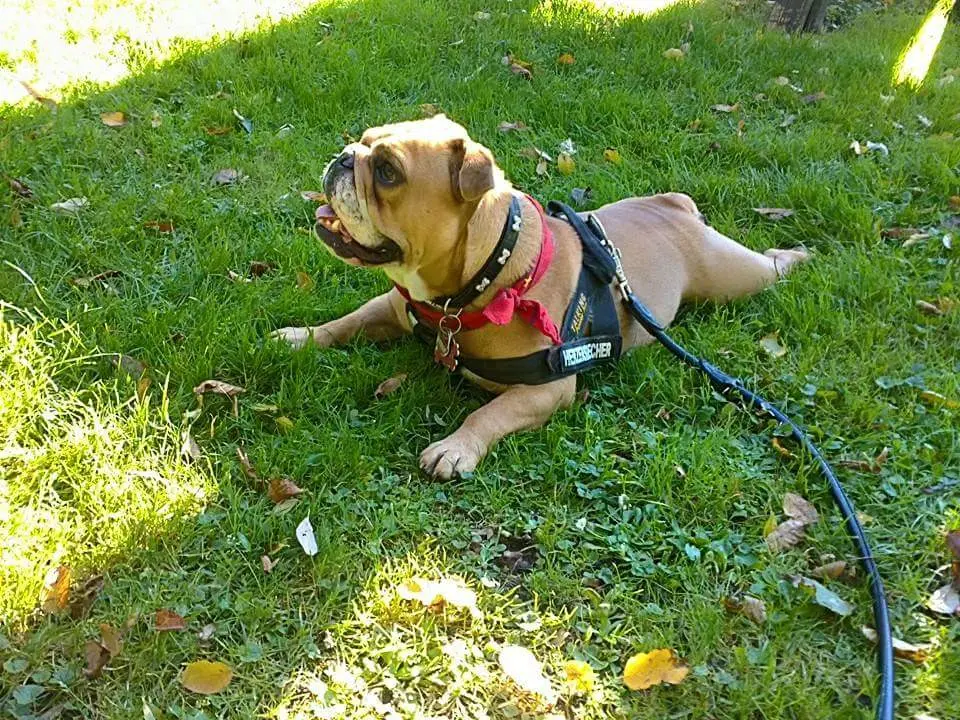 Condolence image of Sabine mit Anni