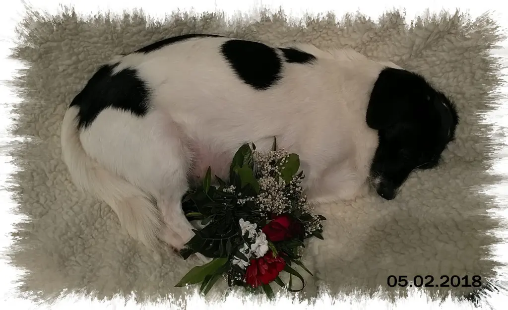 Condolence image of Gaby Grabowski