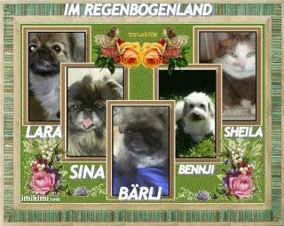 Image from lara mein engelchen