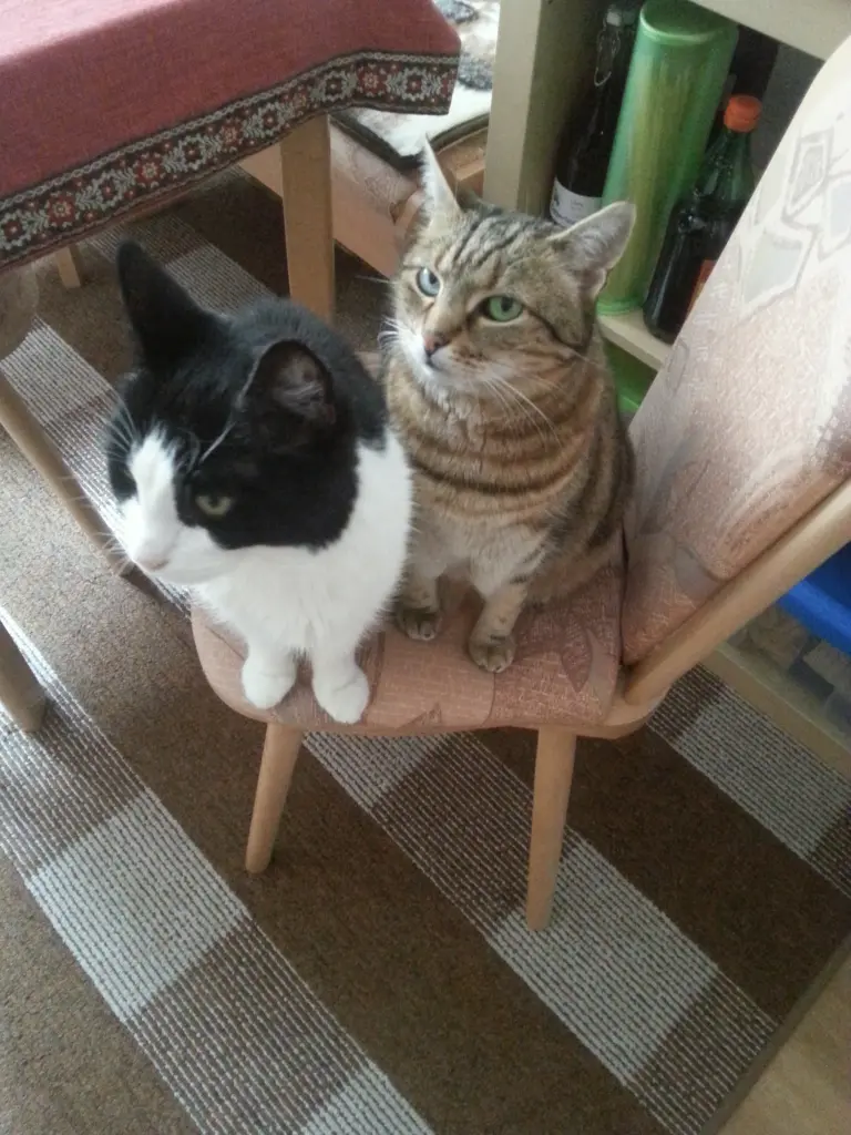 Andachtsbild von Peter und Marina mit Whisky Gestorben am 25.11.2017