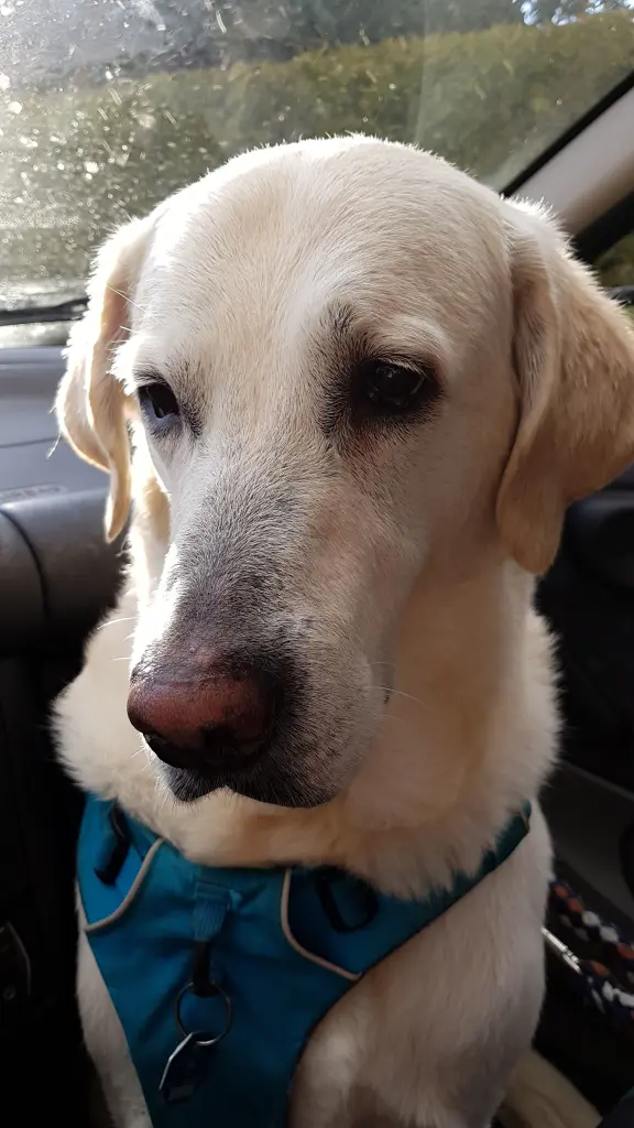 Andachtsbild von Nadine