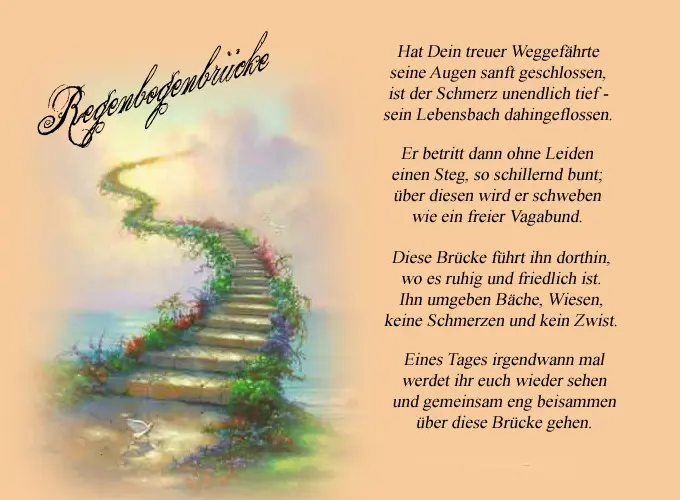 Condolence image of Brigitte mit Nelly im Herzen