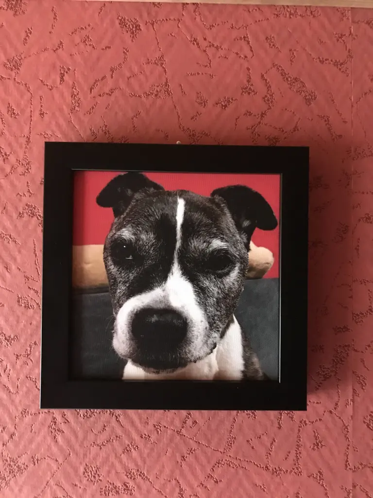 Condolence image of Alexa