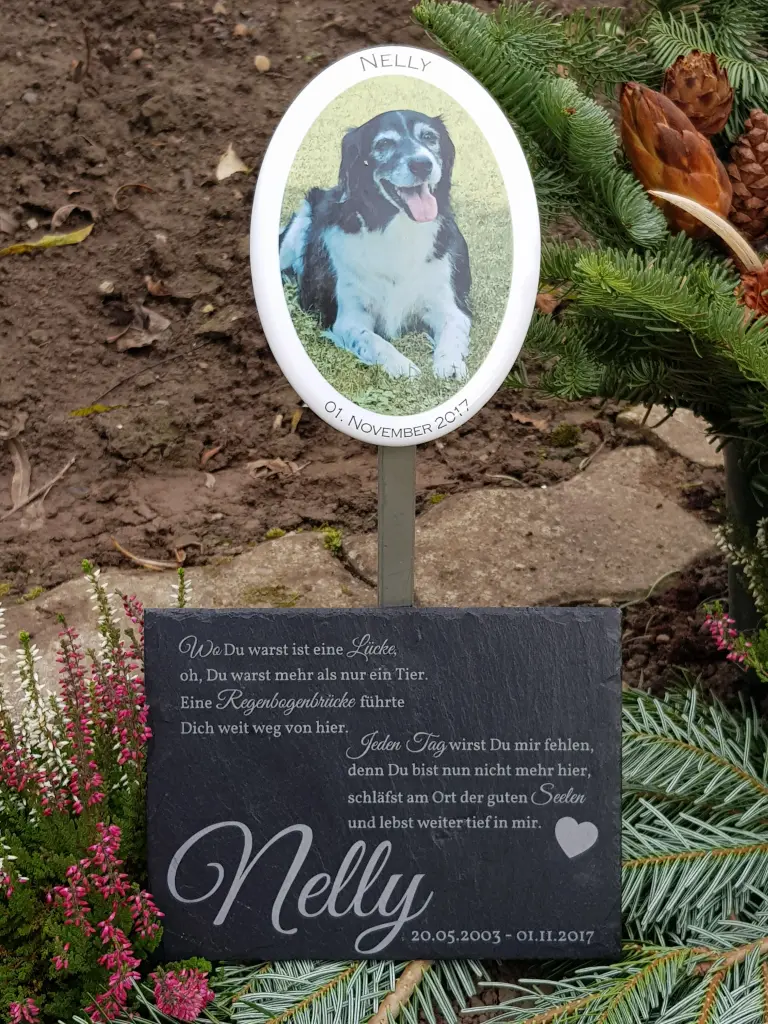 Condolence image of Brigitte mit Nelly tief im Herzen