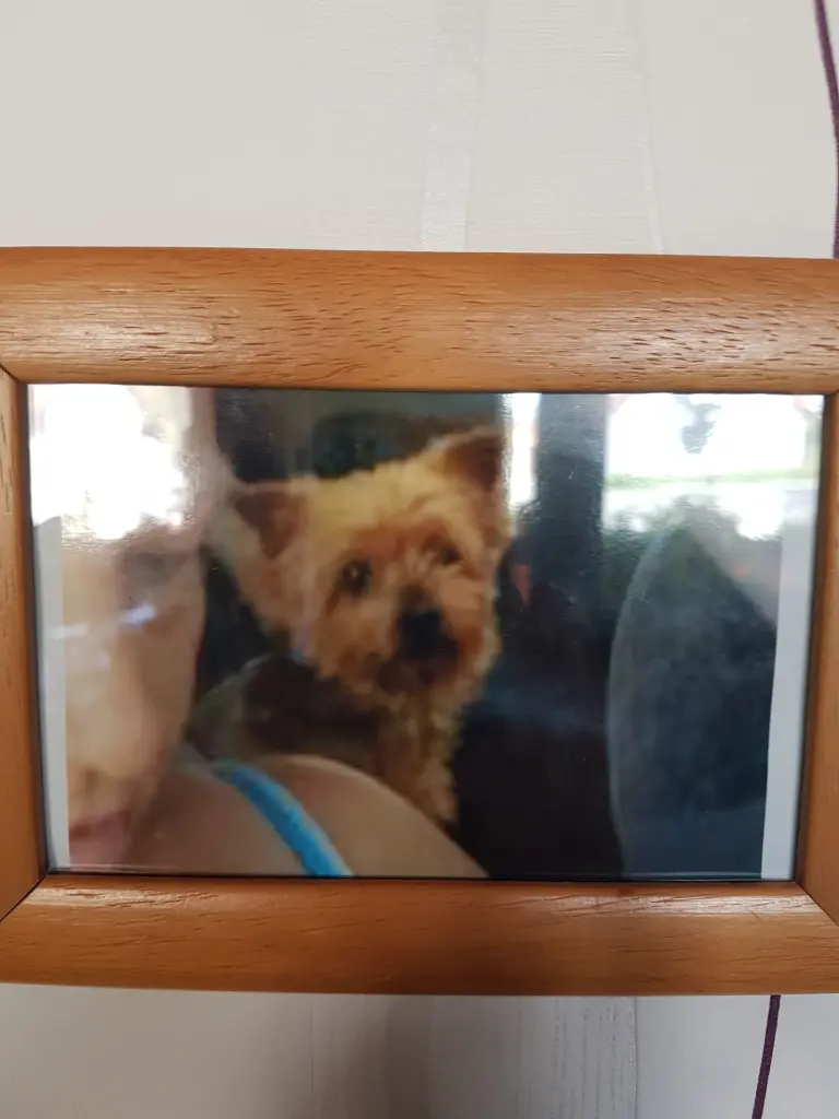 Condolence image of Rena Arends