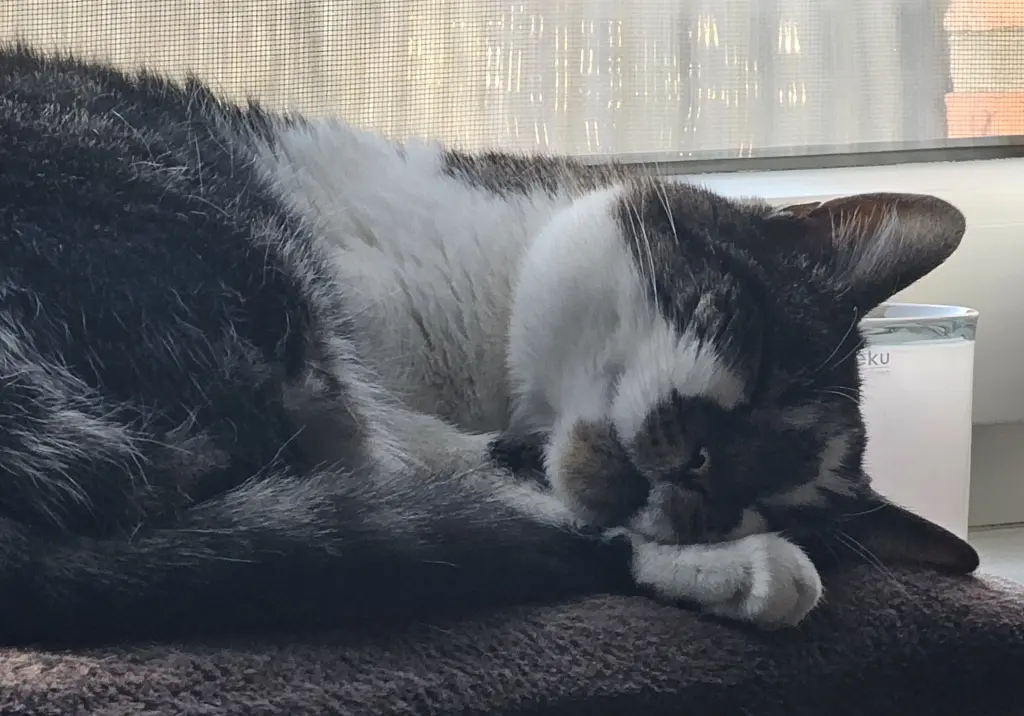 Andachtsbild von Manuela & Andreas