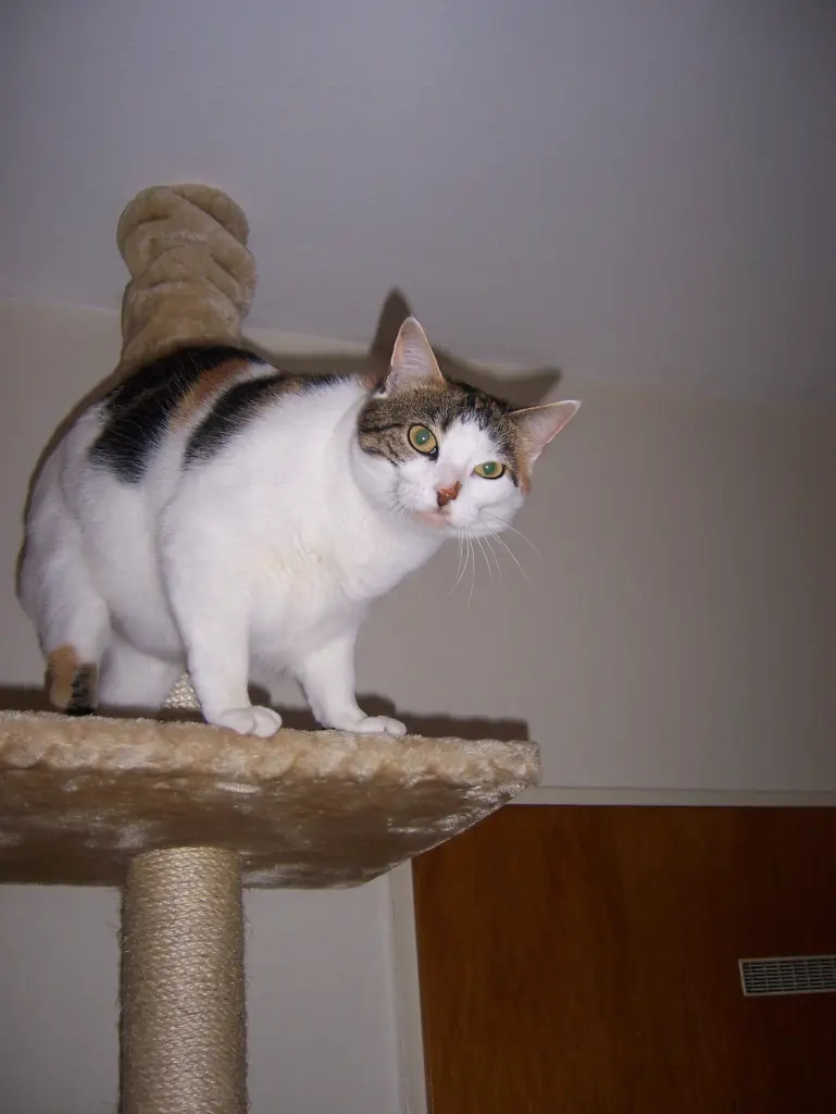 Andachtsbild von Ulla mit Trixi im Herzen