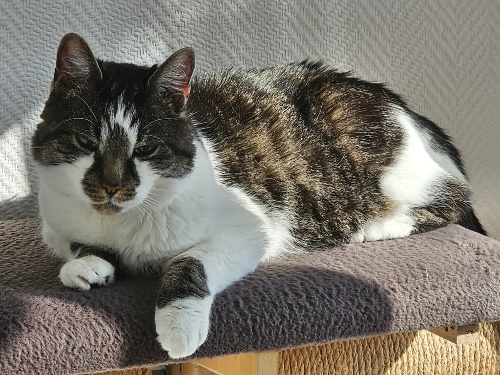 Andachtsbild von Manuela & Andreas