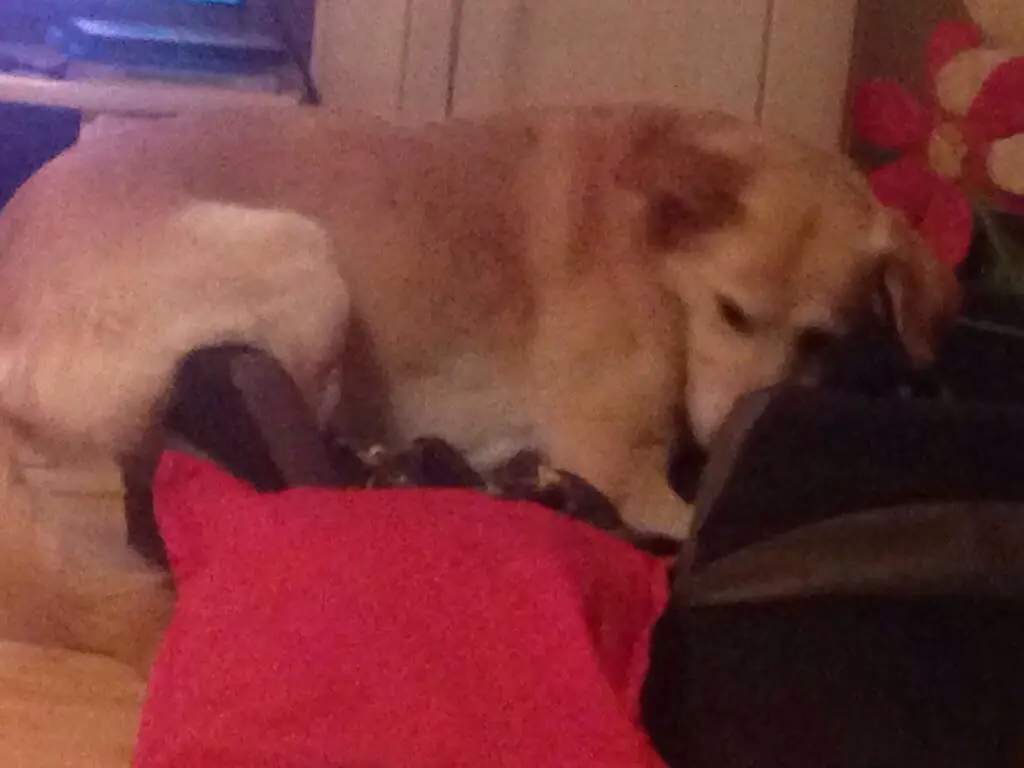 Condolence image of Nicole 