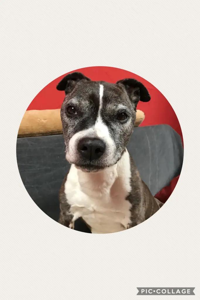 Condolence image of Alexa