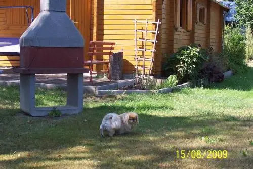 Image from meine Perle Sina