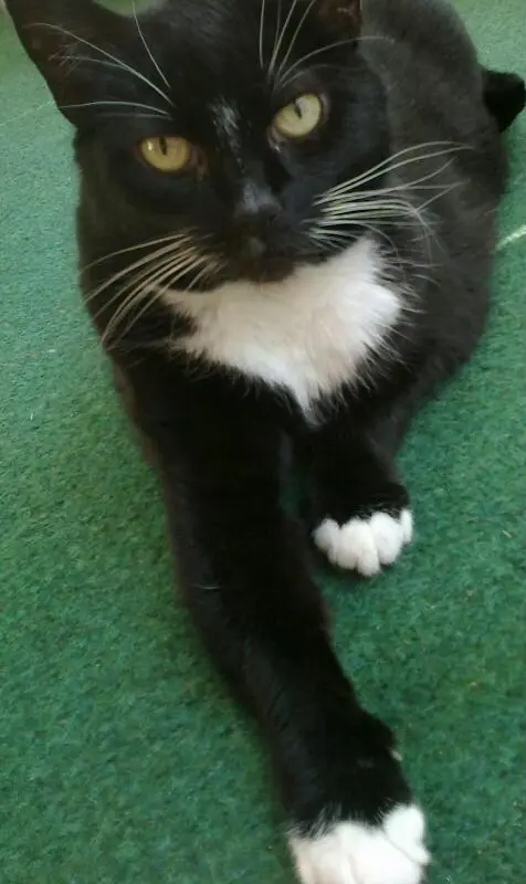 Condolence image of Maik Heidemann