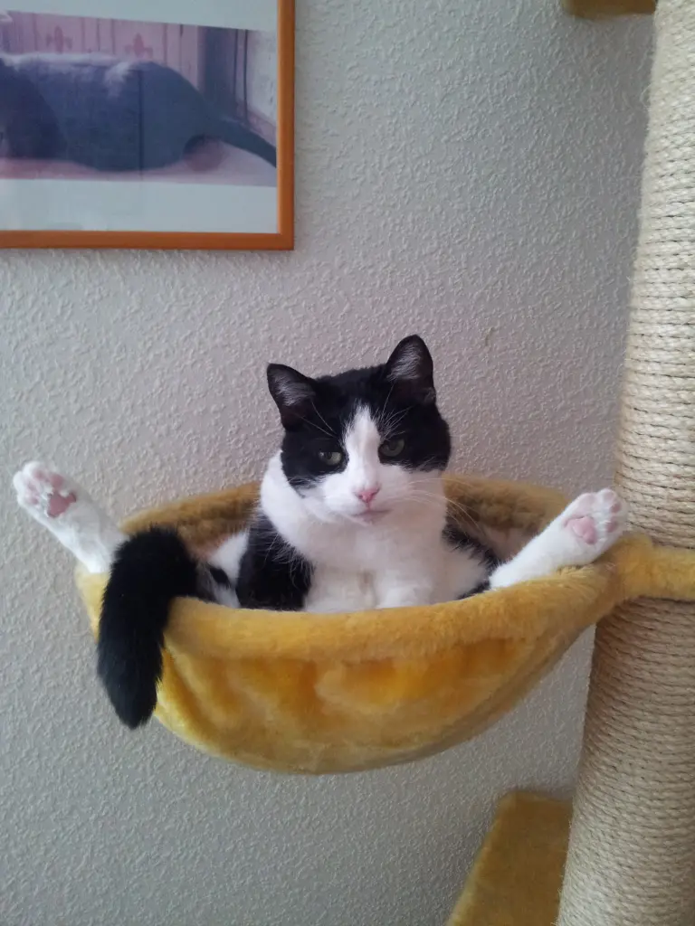 Condolence image of Ilse mit Fee und Minna im Herzen 