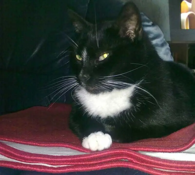 Condolence image of Maik Heidemann