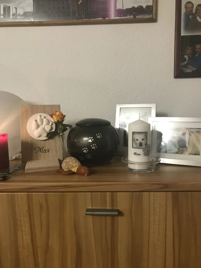 Condolence image of Elzbieta mit Max im Herzen 