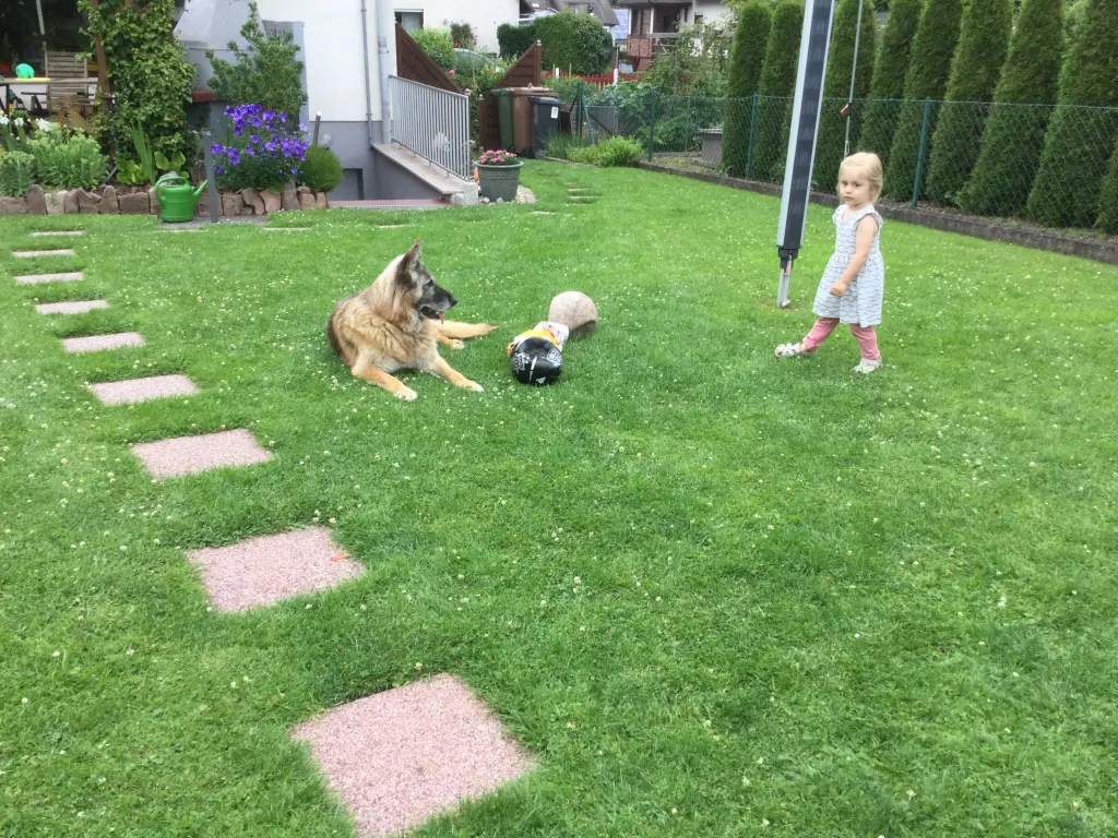 Condolence image of Eva Hannemann