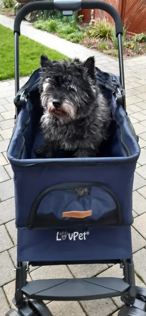 Bild von Paula