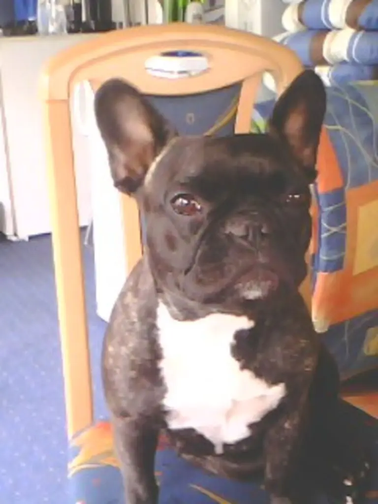 Andachtsbild von Birgit mit Susi im ❤️ 