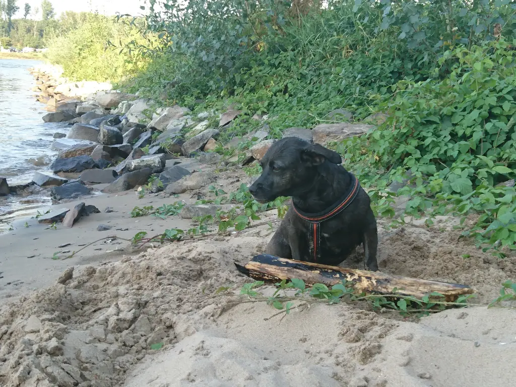 Bild von Elli