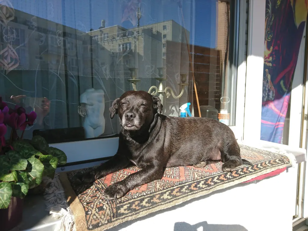 Bild von Elli