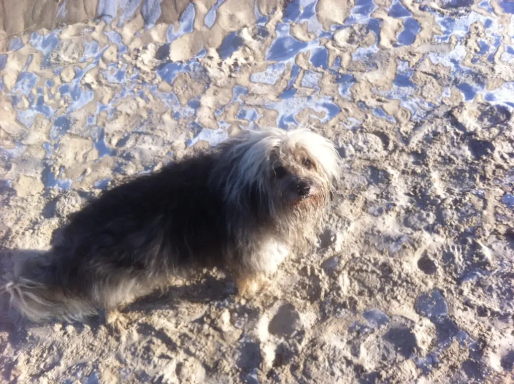 Image from Brac