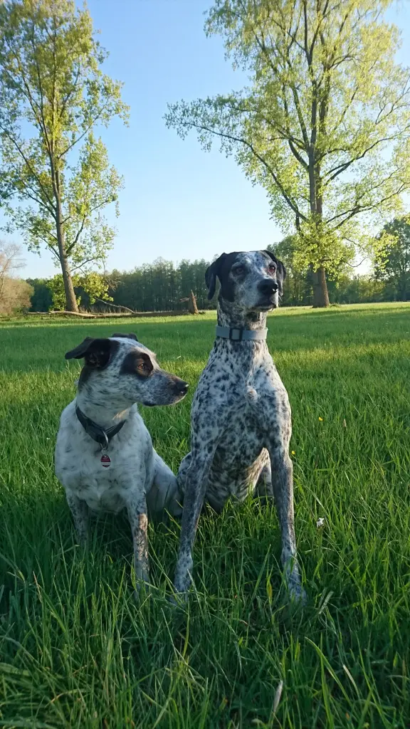 Condolence image of Ewa mit Elo im Herzen 
