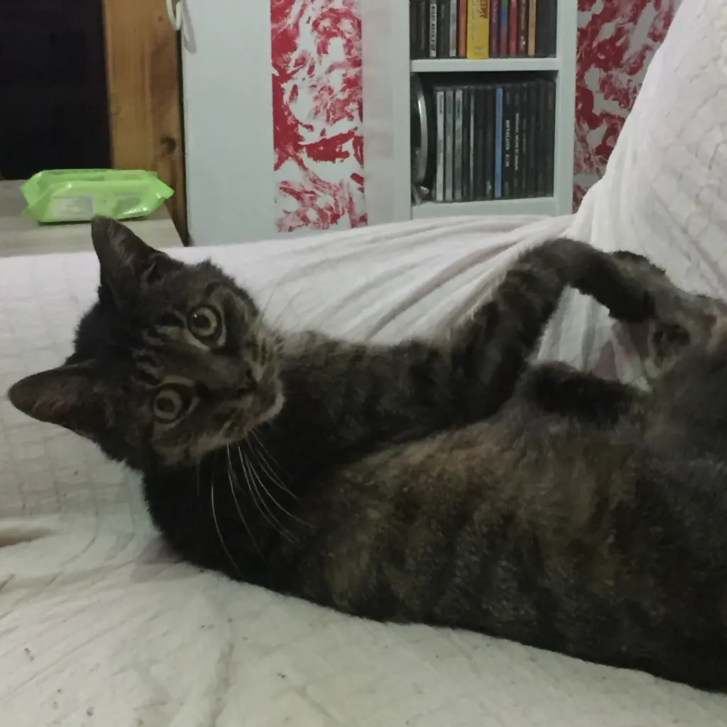 Condolence image of JeAn