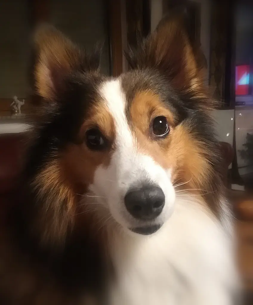 Condolence image of Marion