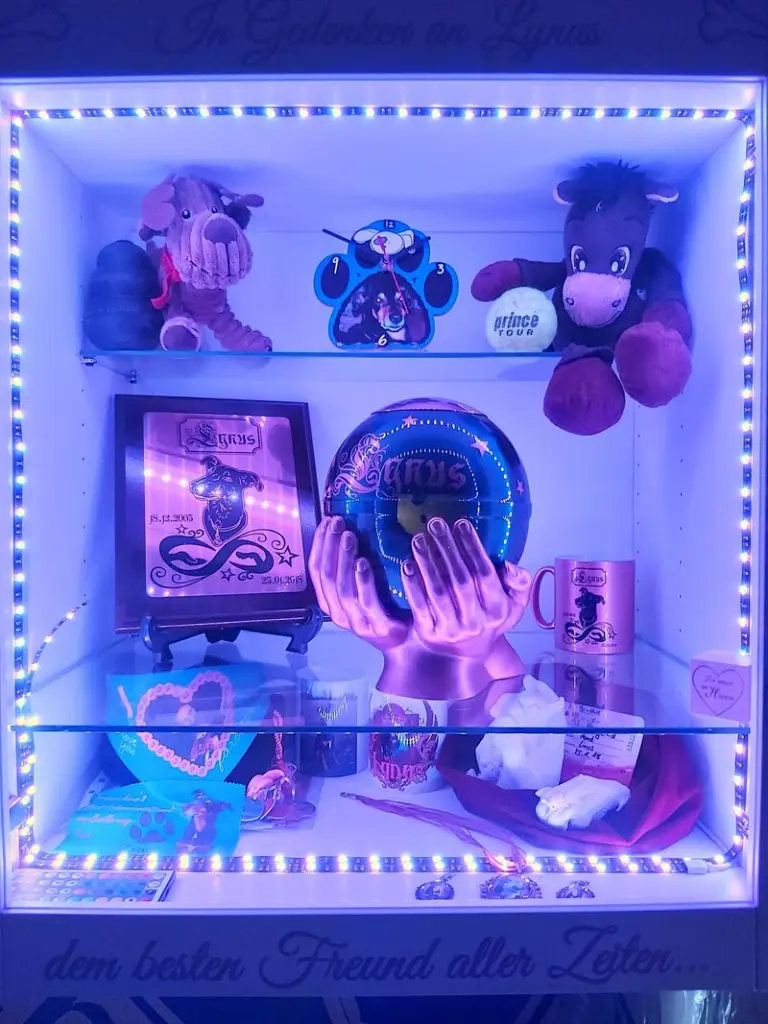 Condolence image of Annabelle 