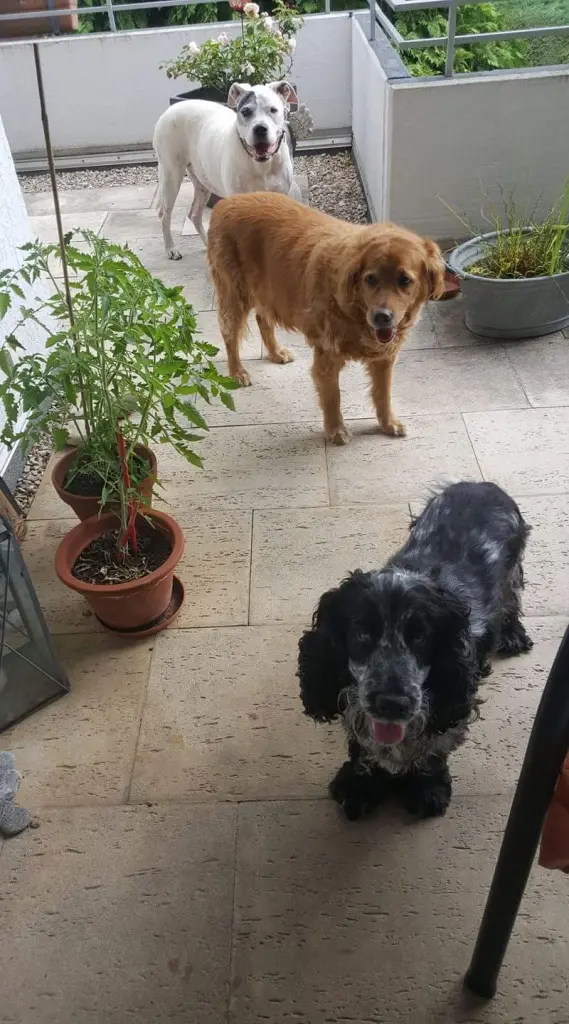 Condolence image of Anette