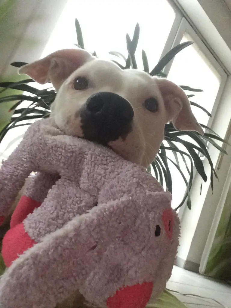 Condolence image of Bea 