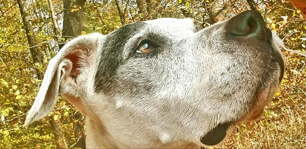 Image from Freya-Dakota