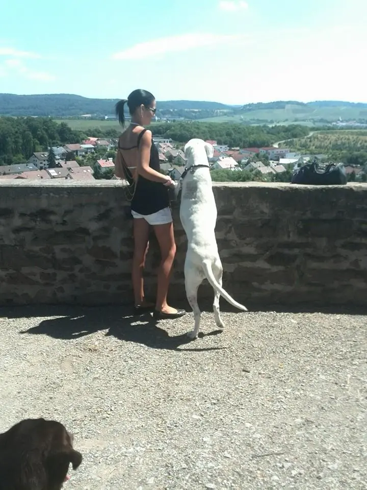 Image from Freya-Dakota