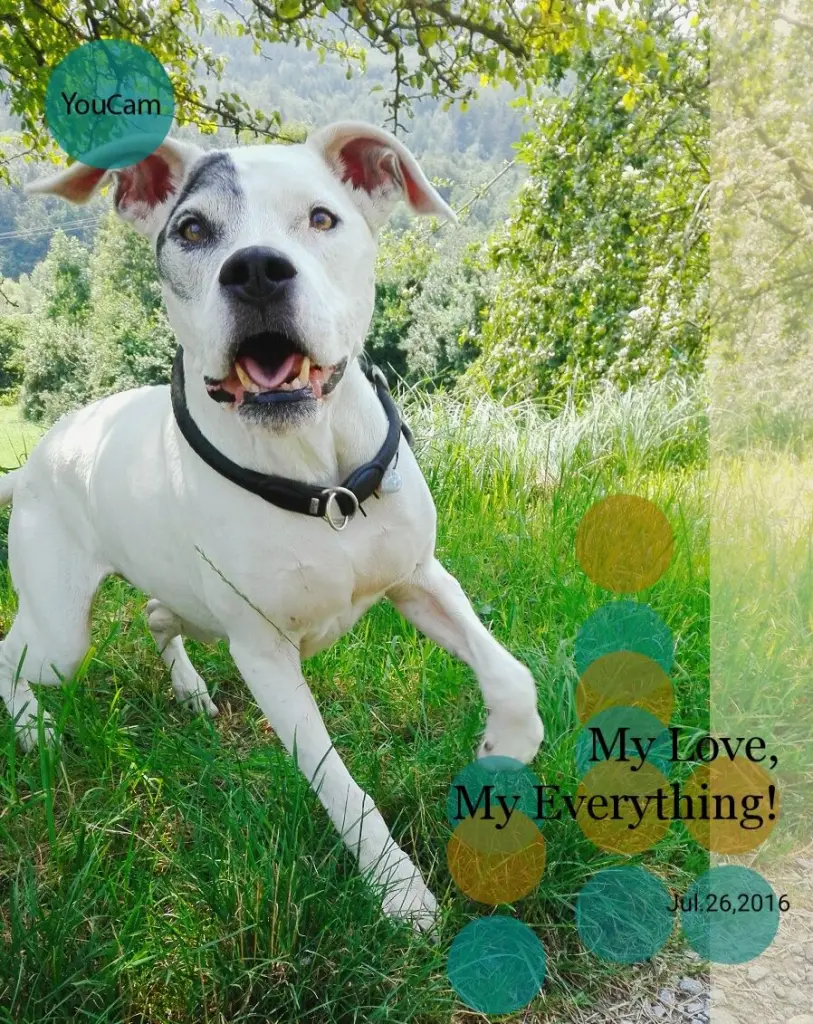 Image from Freya-Dakota