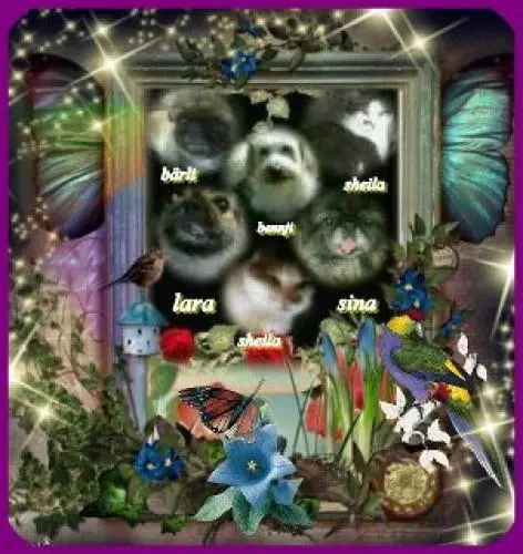 Image from meine zwei süssen bärchen und prinzesin sheila