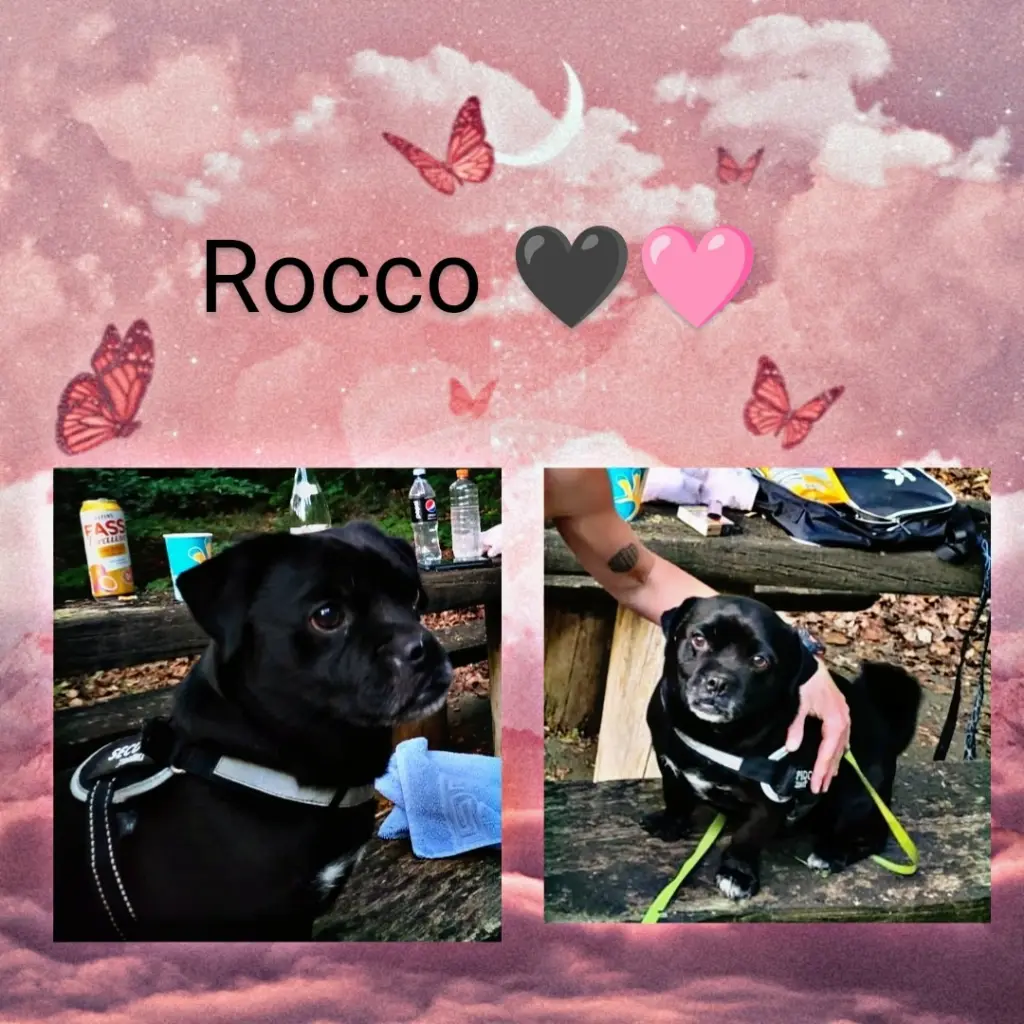 Andachtsbild von Isabel