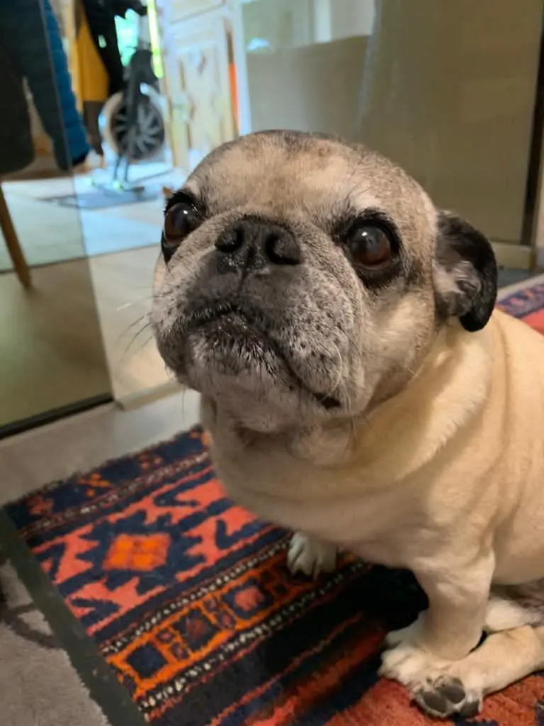 Andachtsbild von Sabine Eickschen