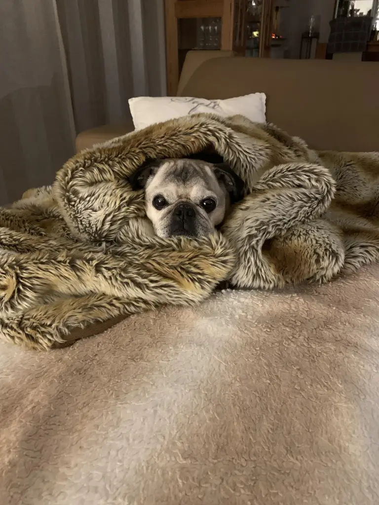 Andachtsbild von Kerstin