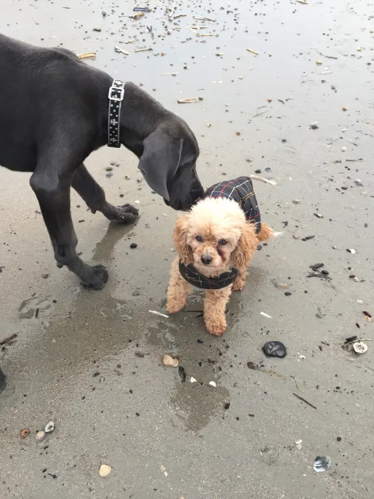 Condolence image of EVI