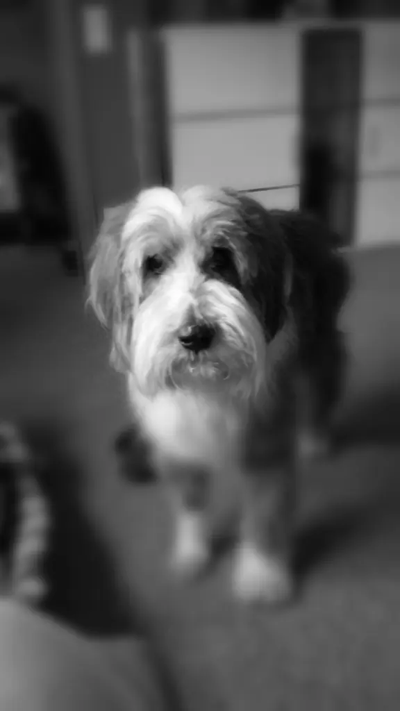 Condolence image of Susan