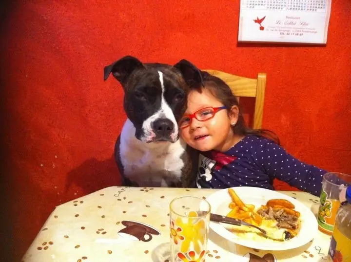 Condolence image of Alexa